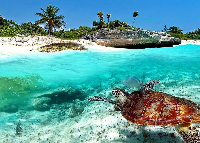 Naay Bej Hotel Tulum