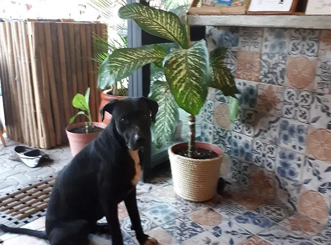 Naay Bej Hotel Tulum